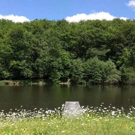Appartement Aux Sources De La Chabanne Saint-Hilaire-les-Courbes Eksteriør bilde