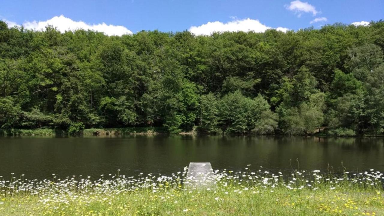 Appartement Aux Sources De La Chabanne Saint-Hilaire-les-Courbes Eksteriør bilde